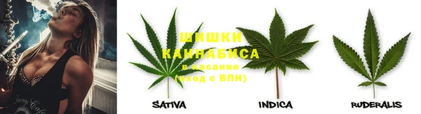 прущие грибы Алексеевка