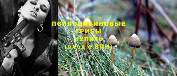 прущие грибы Алексеевка